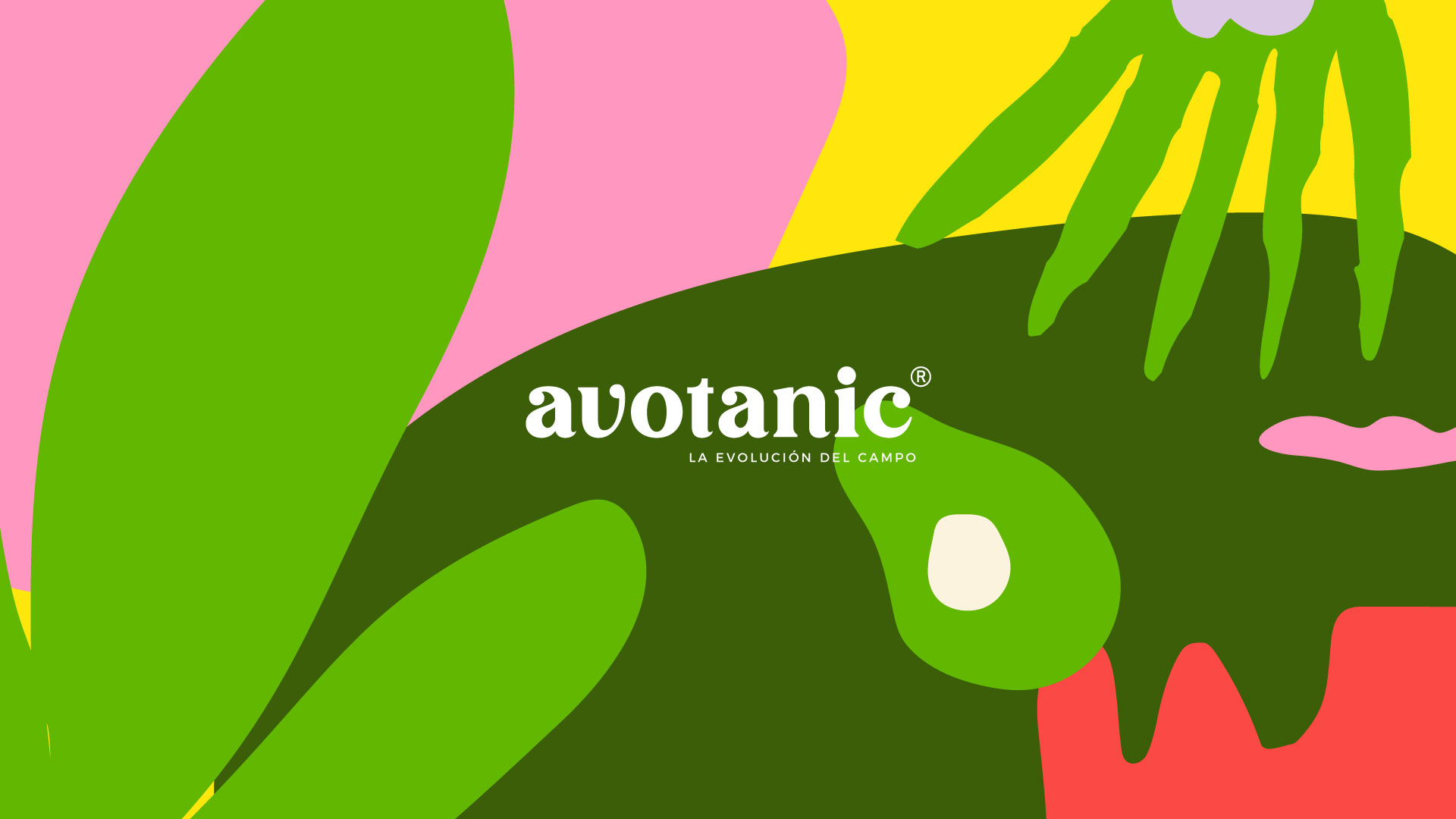 Detalle Producto Avotanic