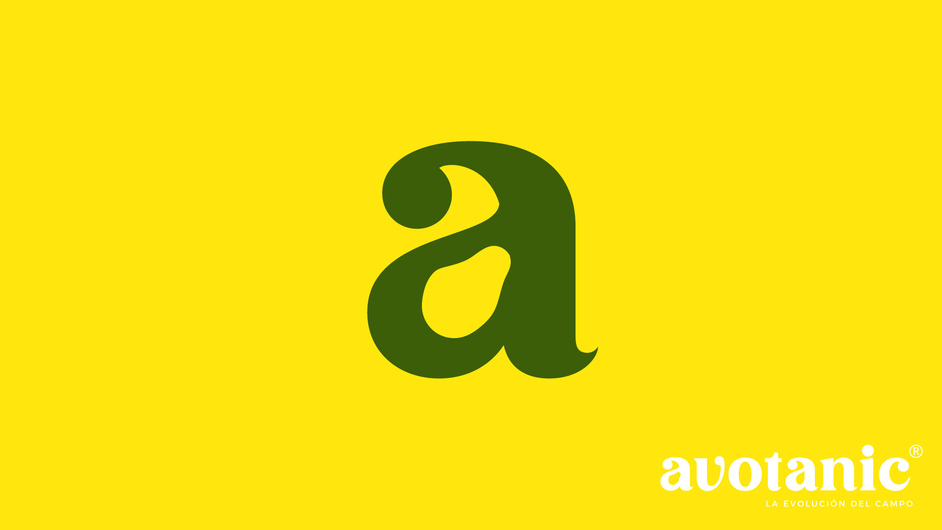 Aplicación de Marca 6